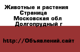  Животные и растения - Страница 28 . Московская обл.,Долгопрудный г.